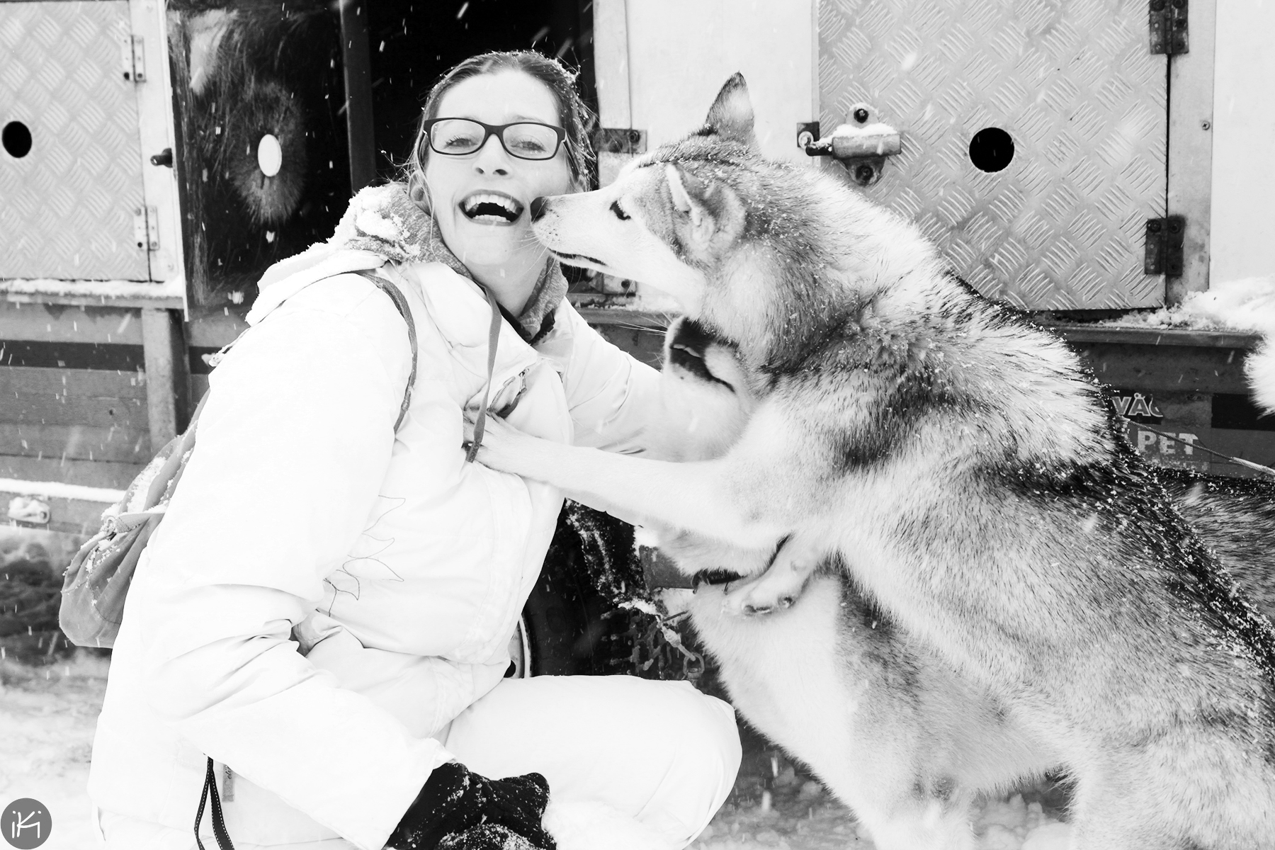 me and my dog