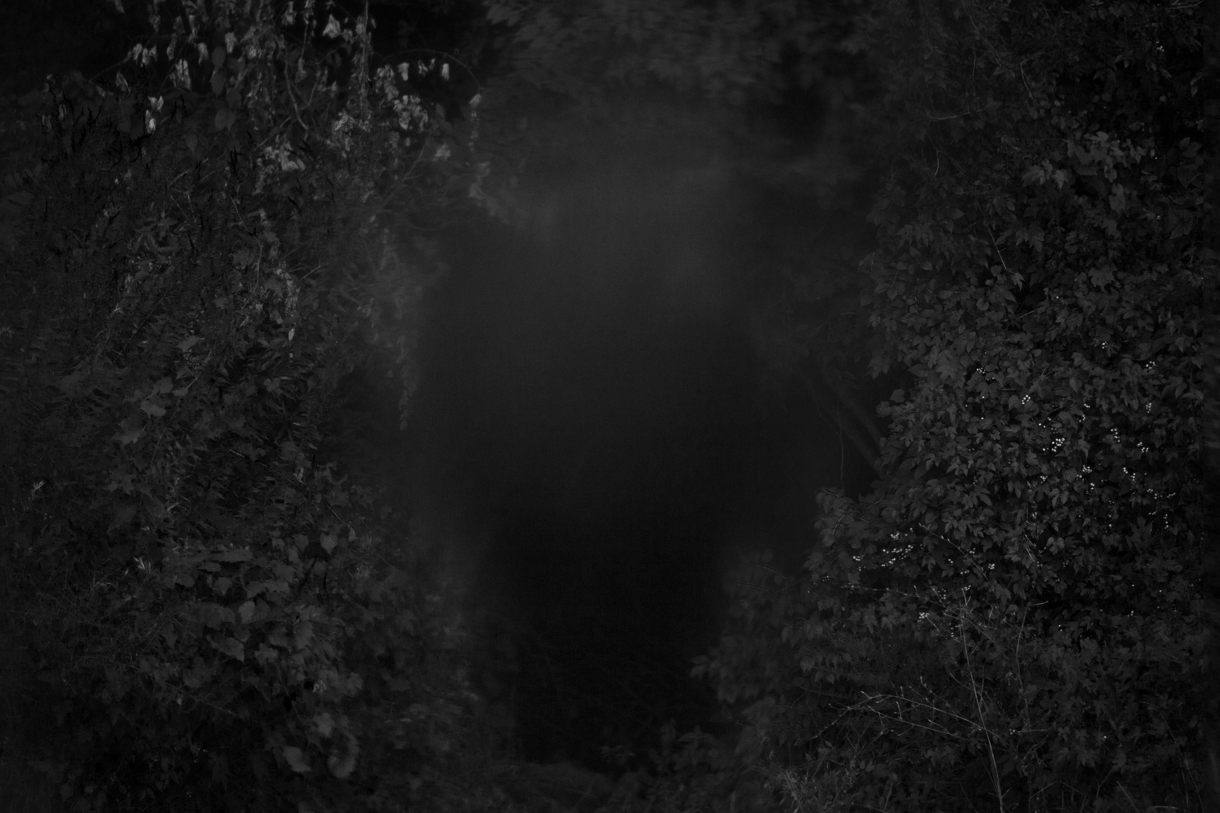 20160912_7938 web.jpg