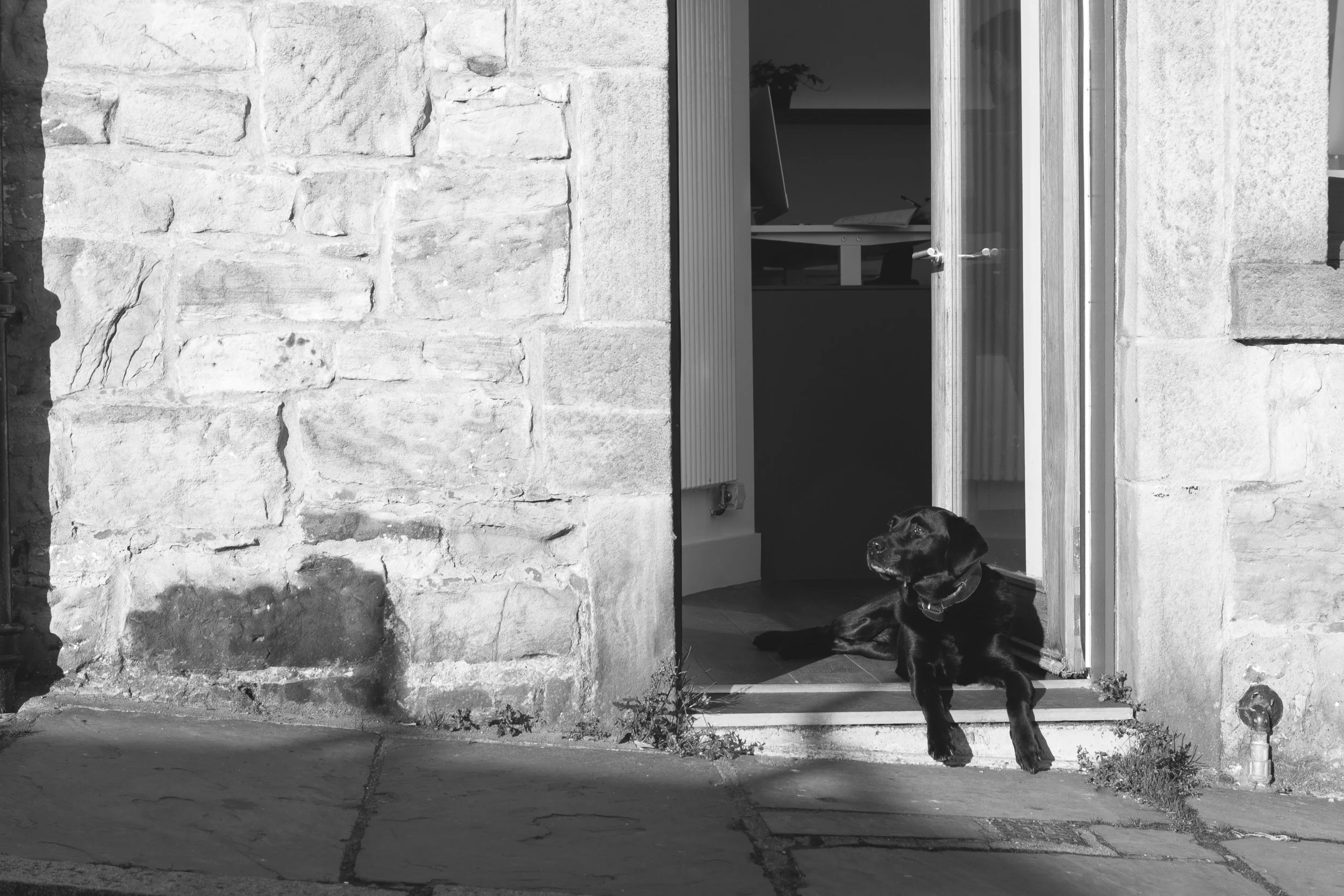 WT ARCH18 - eoincarey_336.jpg