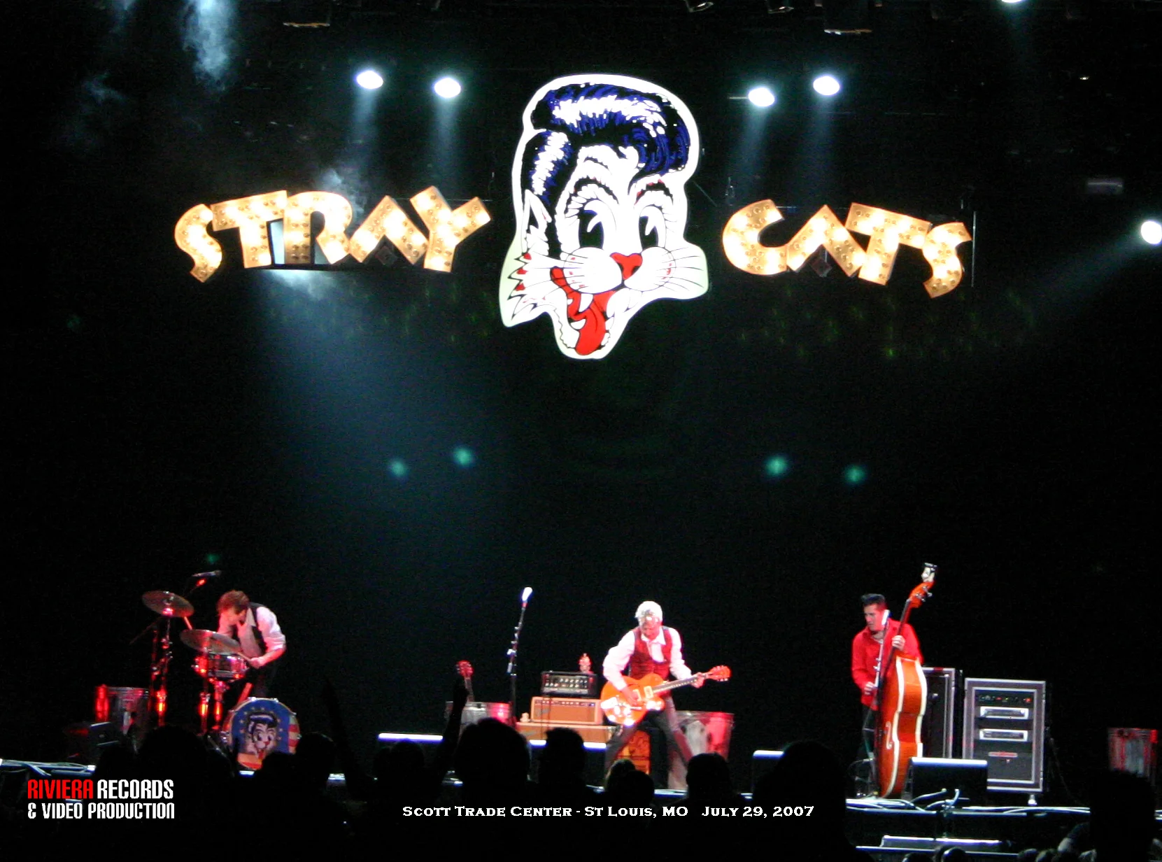 Stray Cats-2.jpg