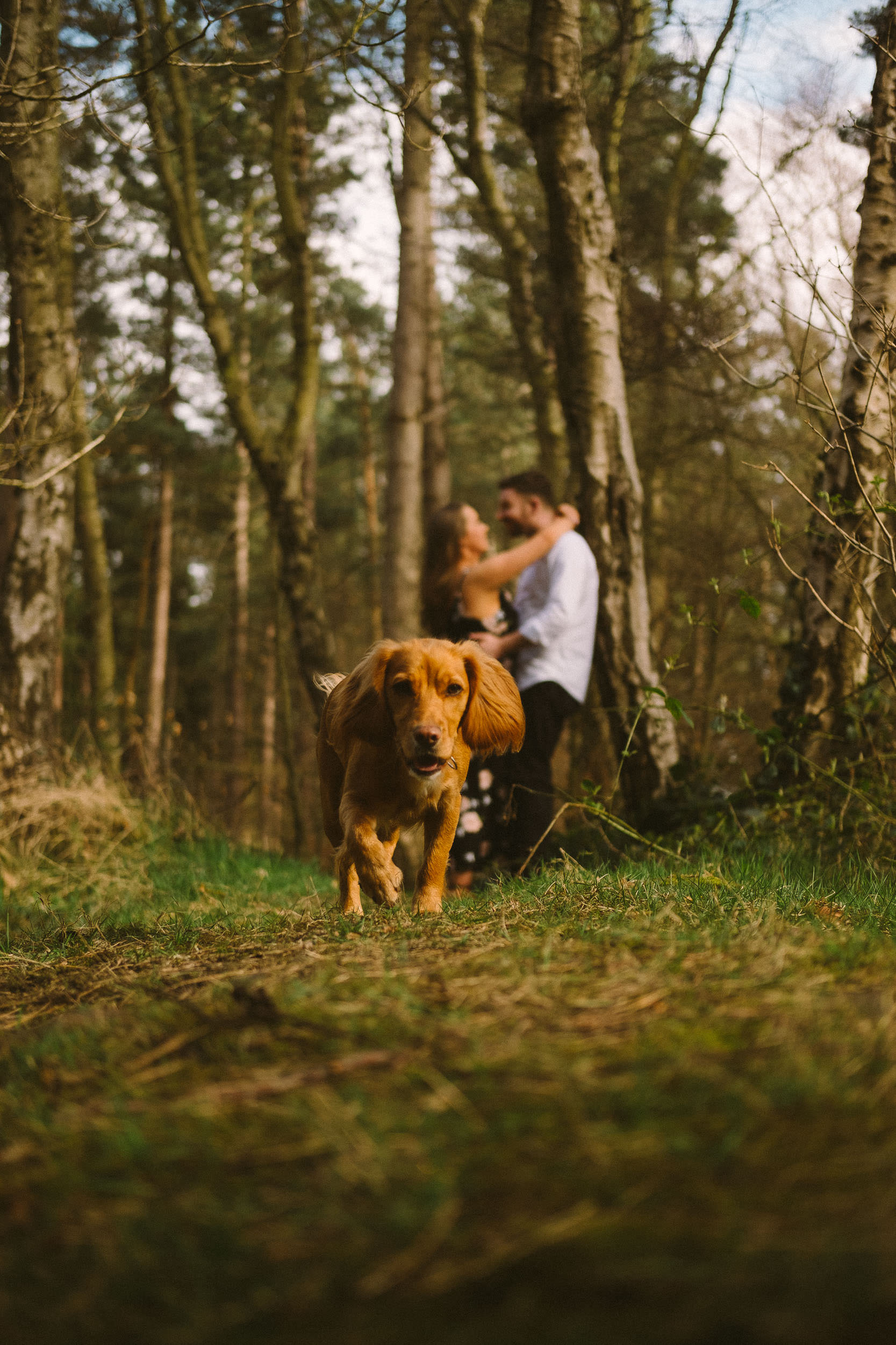Couple kiss in Chopwell Woods as their dog runs towards the camera