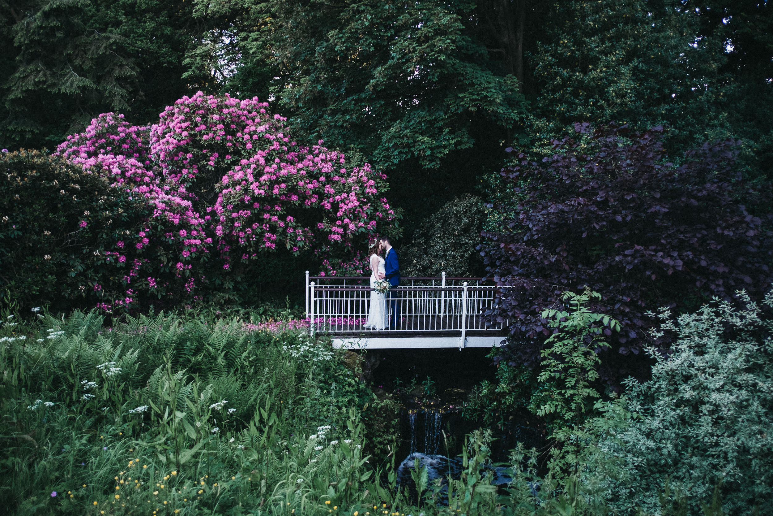 Bride and groom kiss on bridge with pink flowers behind