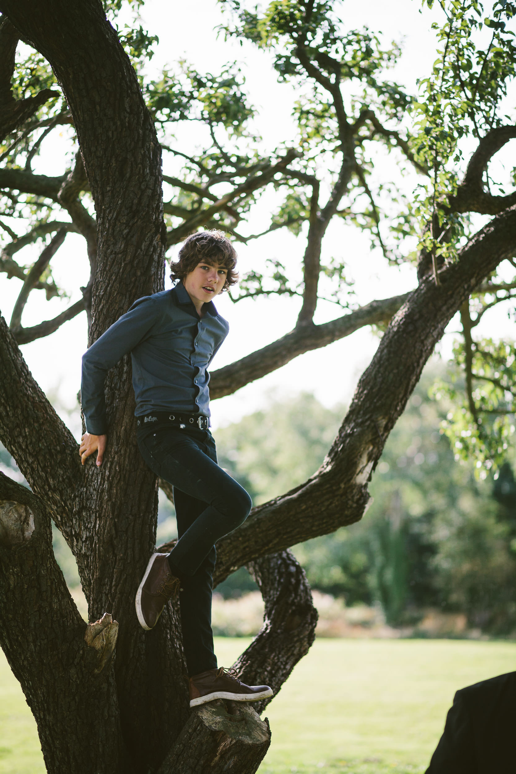 Young wedding guest climbs tree