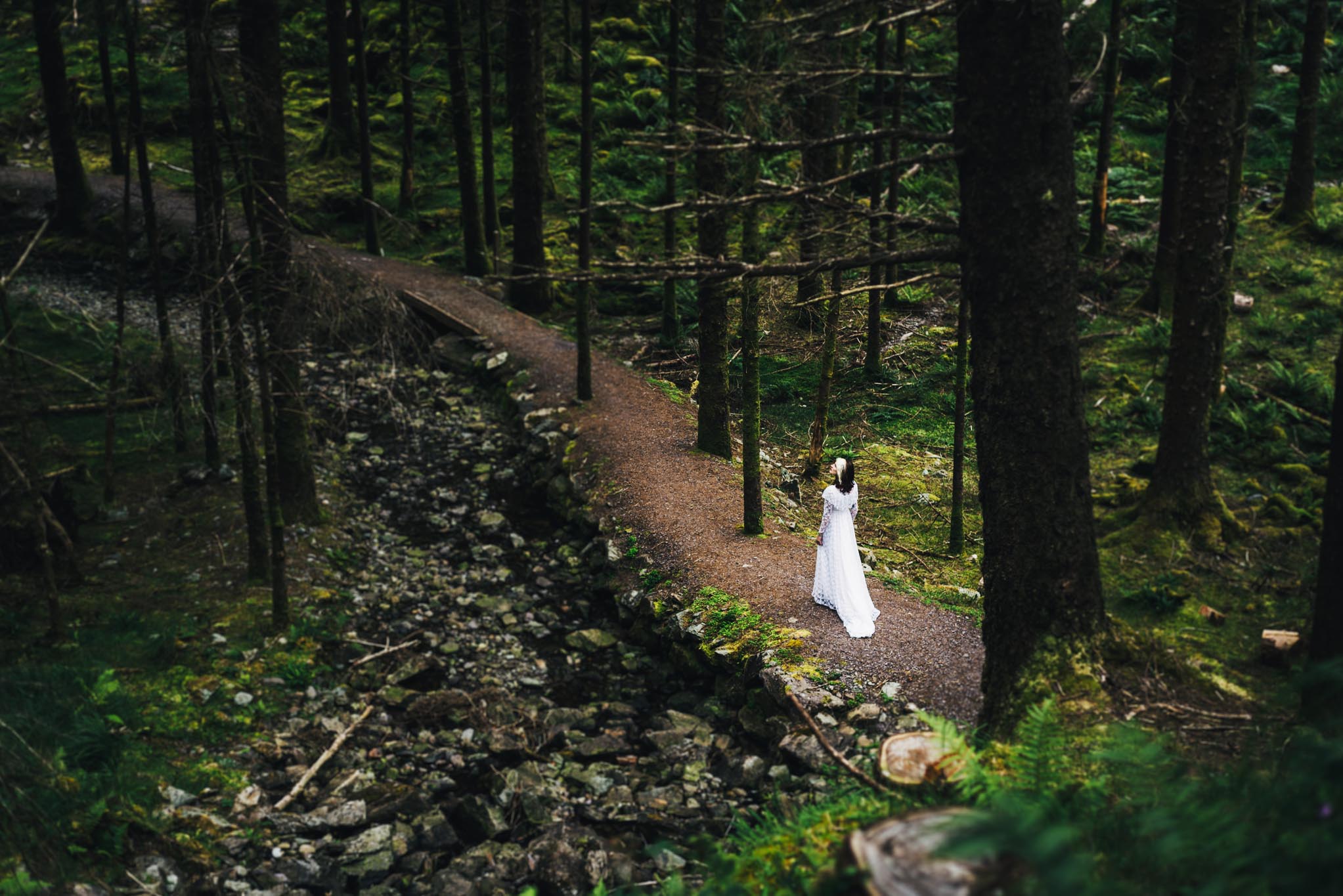 Follow me into the Forest