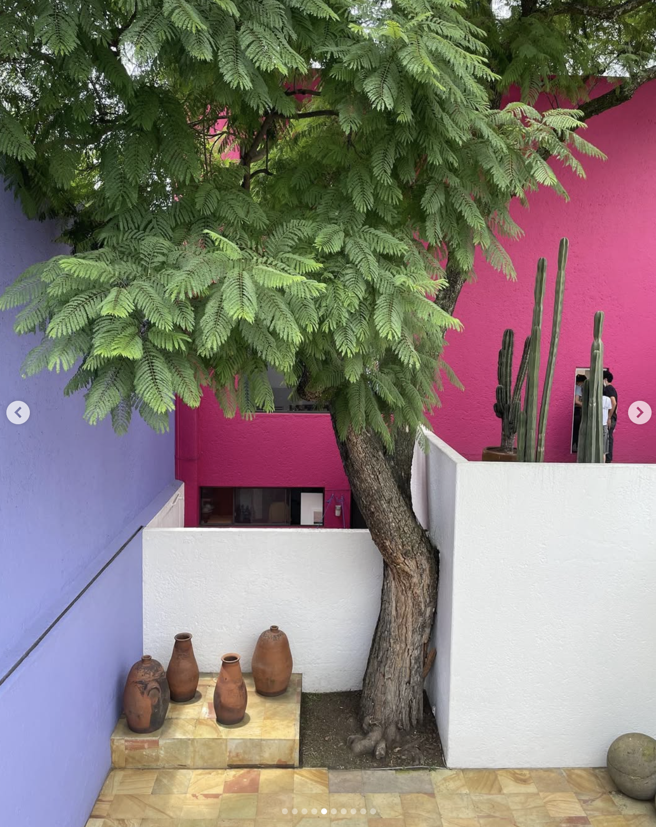 Screenshot 2026-03-03 at 8.57.21 AM.png