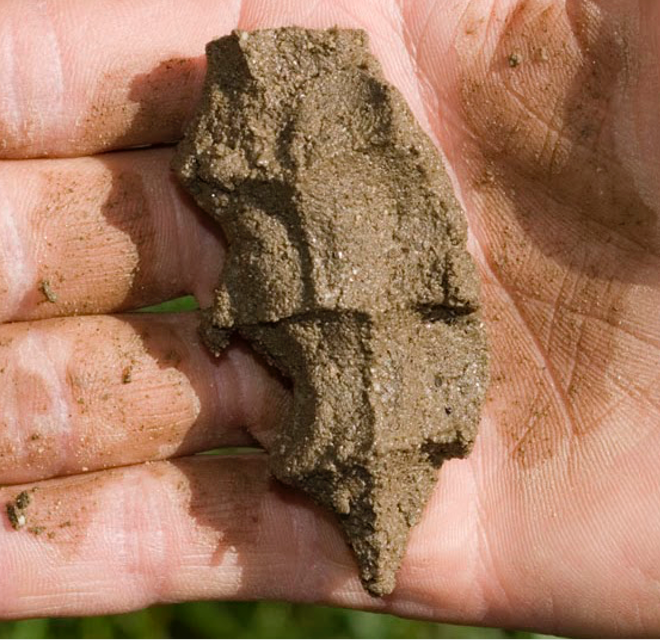 Squeeze Test: Is this clay or something else?
