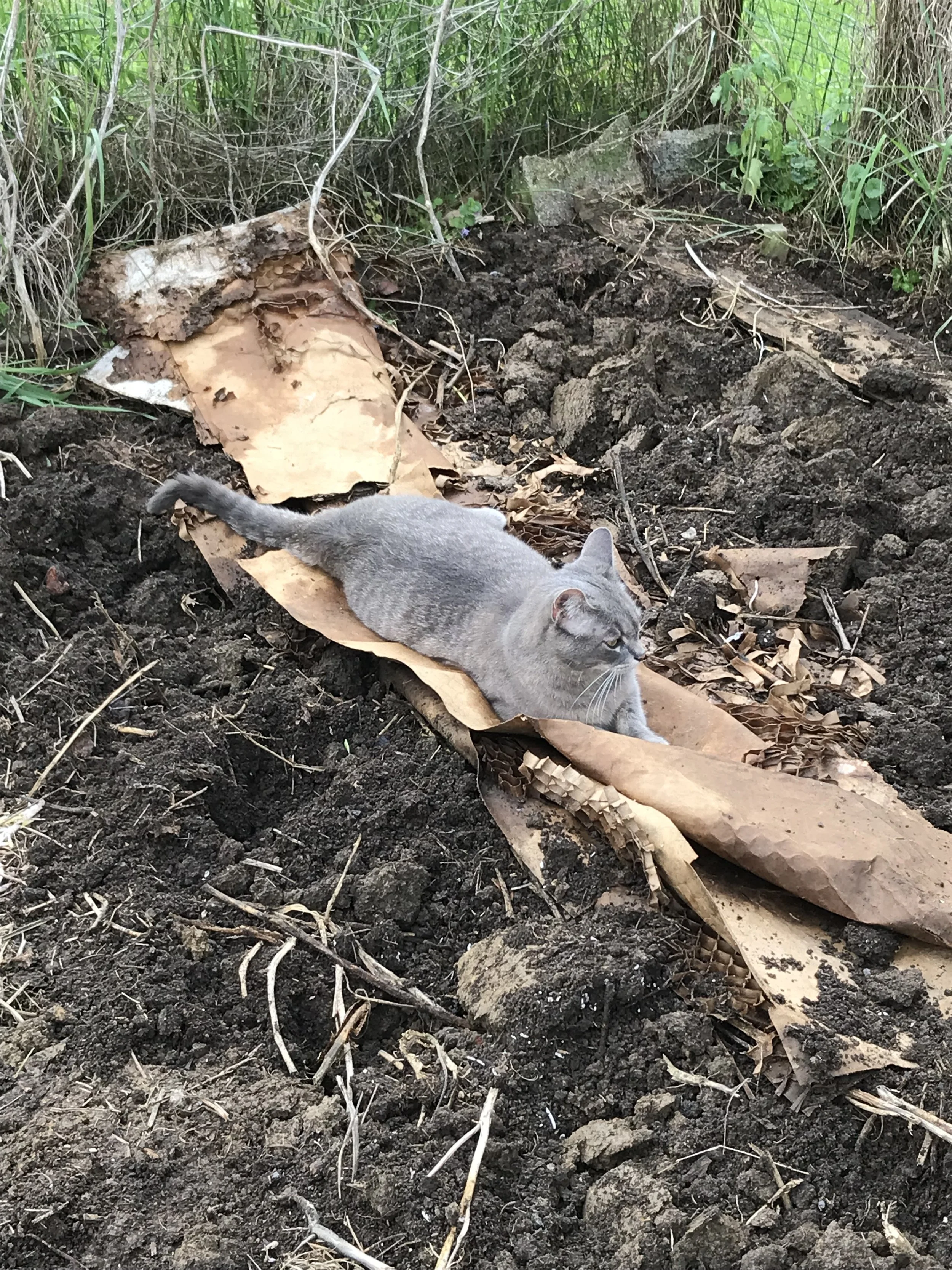 Tools you need to process clay