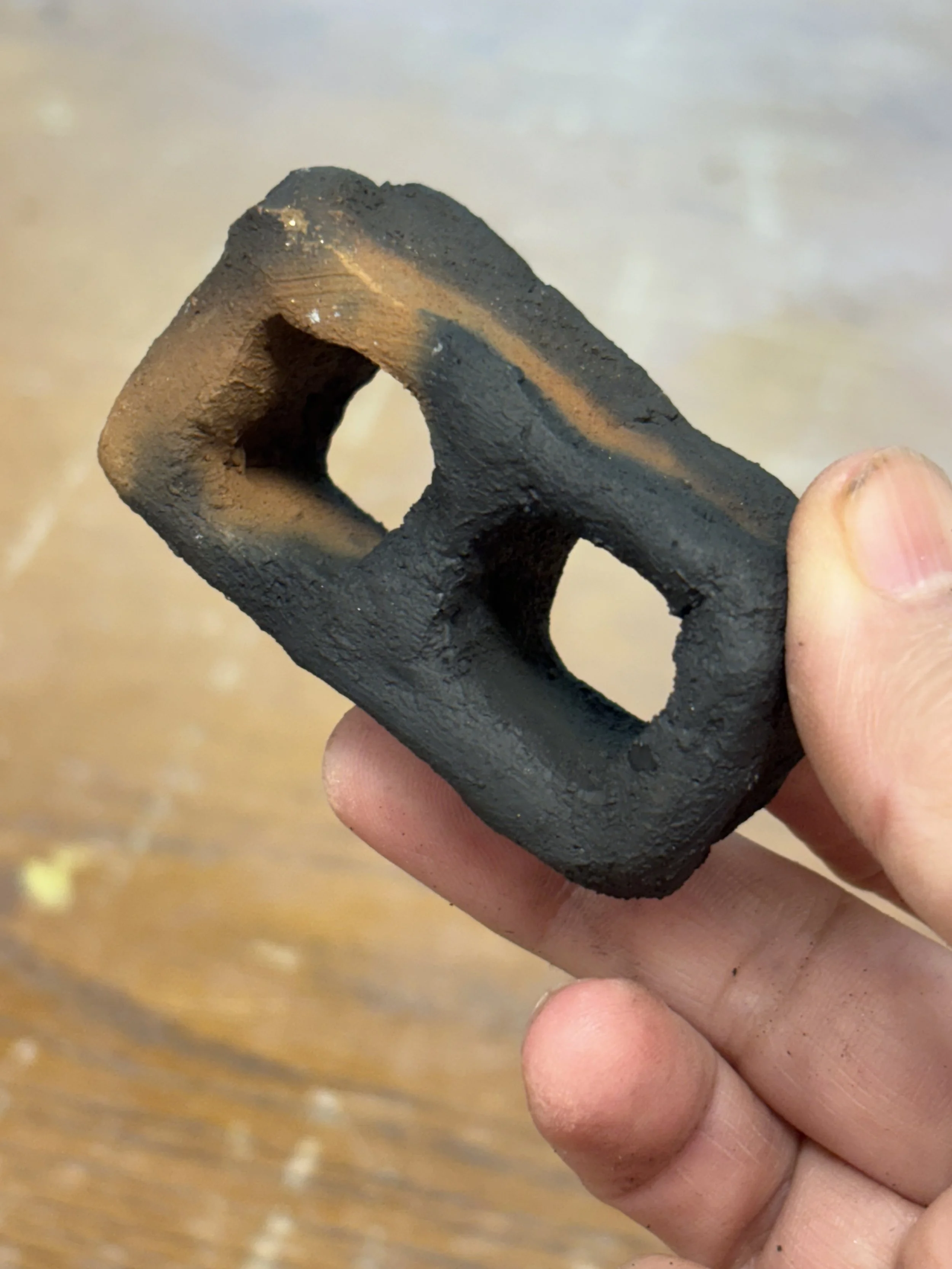 Overall, the project was a success—both in testing Hambidge clay for my future work and in creating a communal experience with fellow resident artists. For me, it was another opportunity to inspire people to reconnect with the earth and our shared