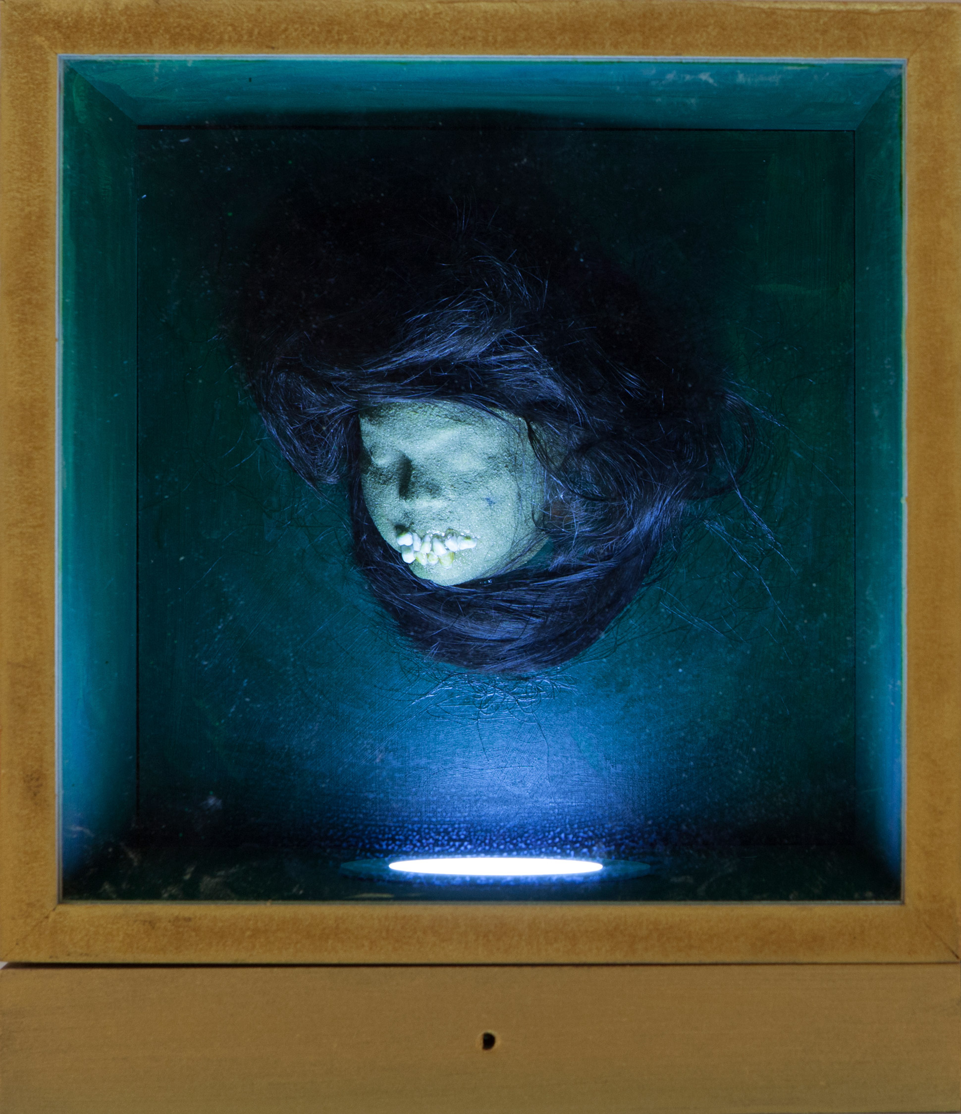 Head of Unidentified Female Found by Pansy Crowe (2)