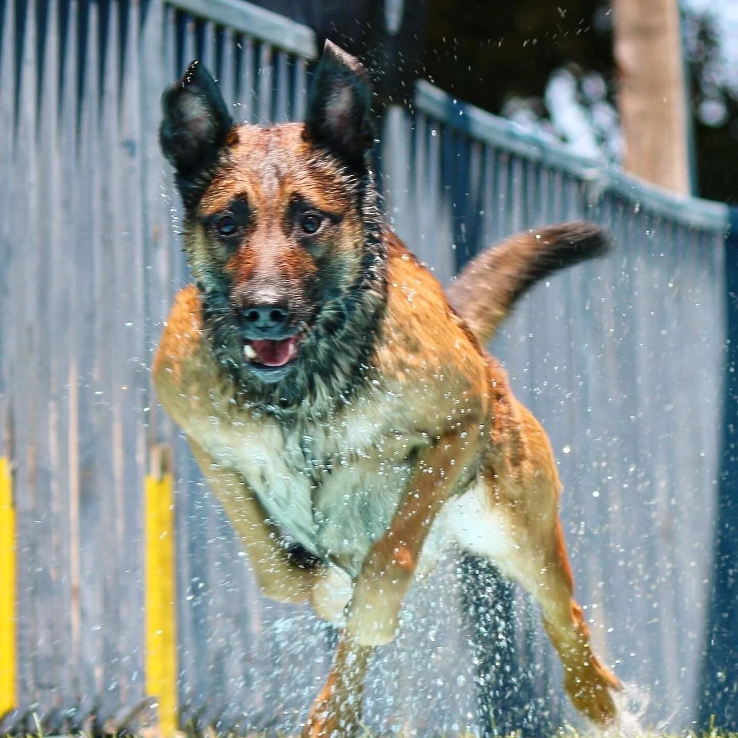 8B0261D6-40C2-4595-931E-696345C0EADE