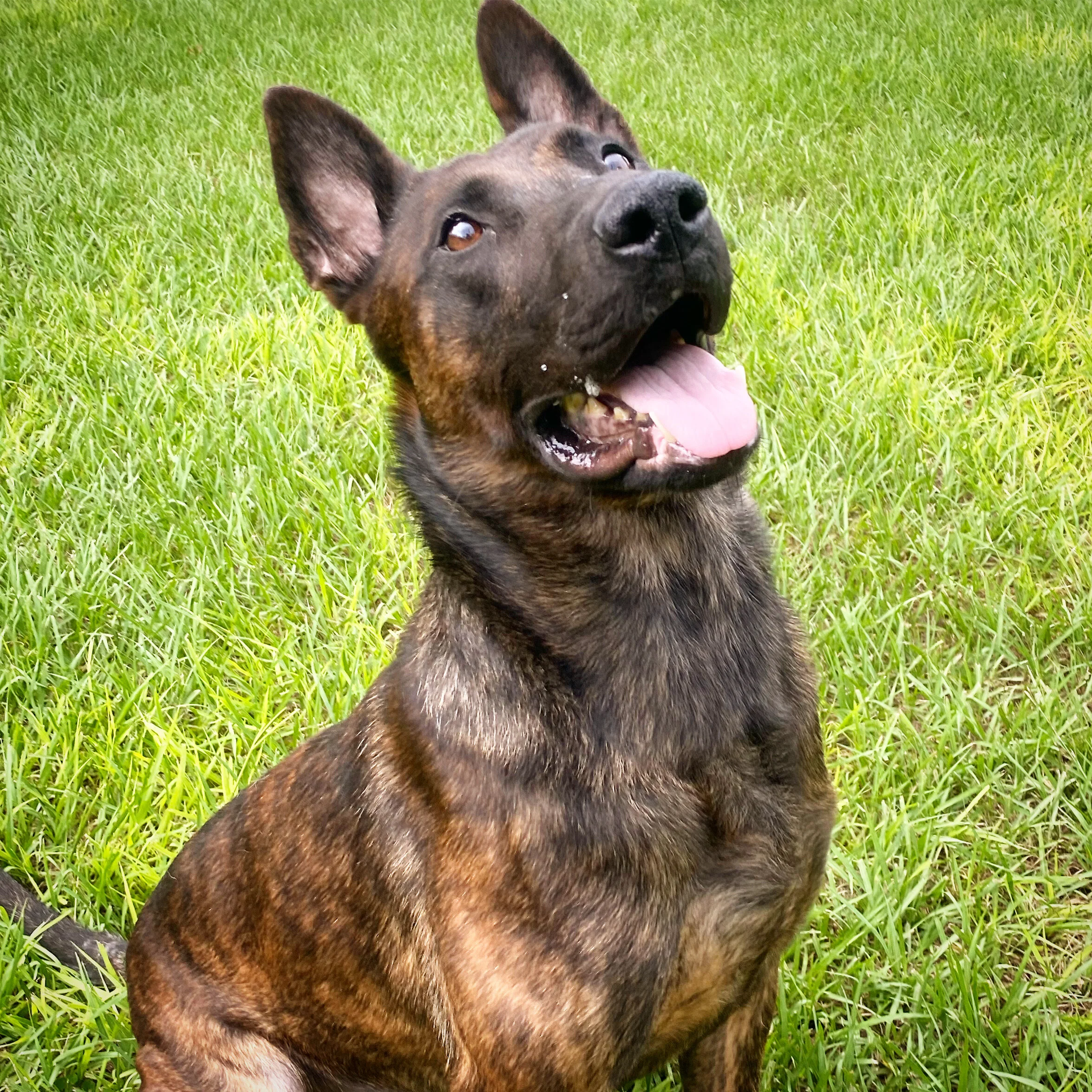 6ADB5FF7-9E1B-4C23-949F-9E984B4125EC