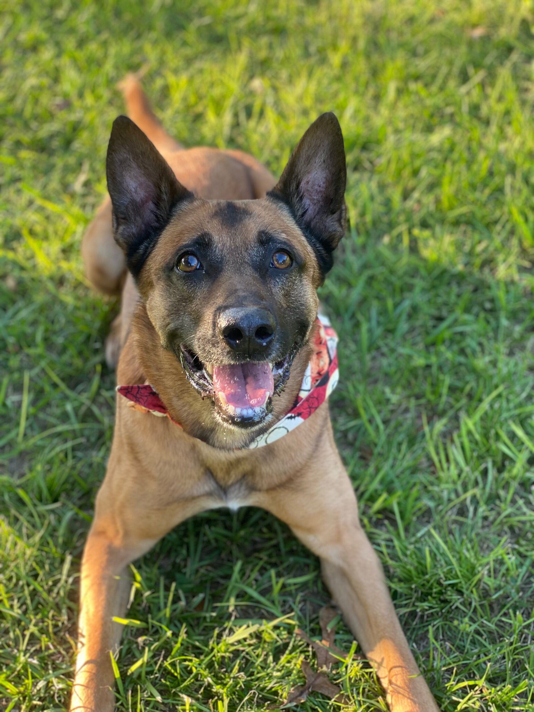 75CCA82C-280C-4E56-AC9F-F2CE62B327AC