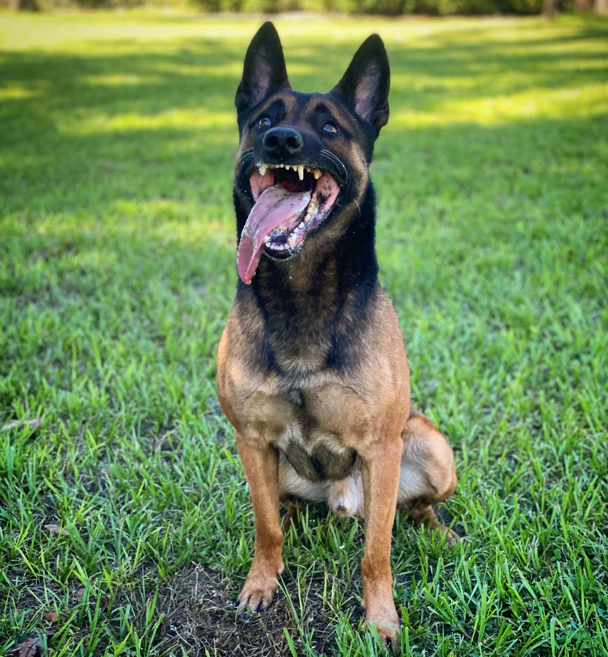 136CE598-3B44-4B85-9059-D433C2614E18