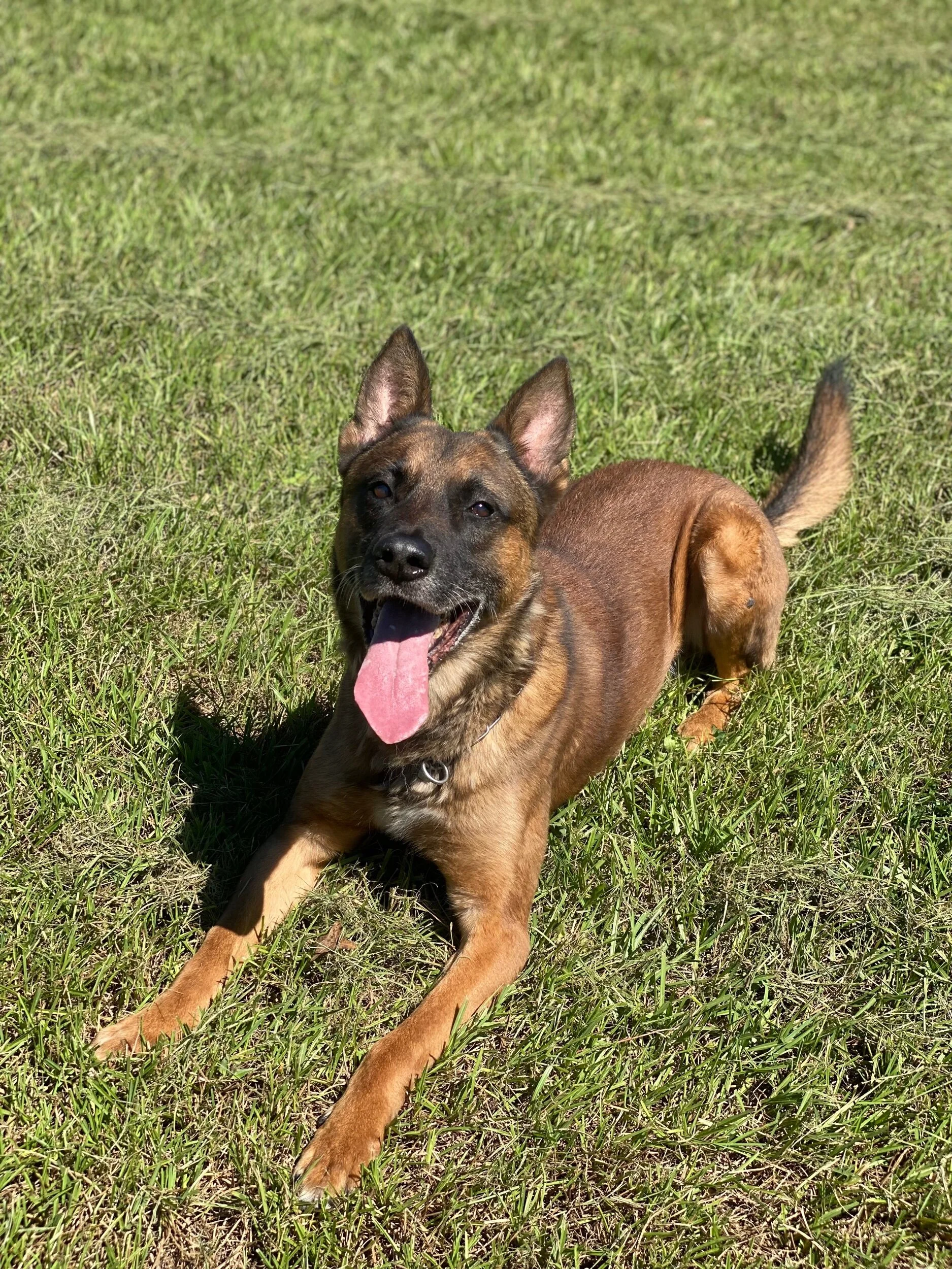 E7BEFDE9-3B46-4B44-A245-A913ED6FF882