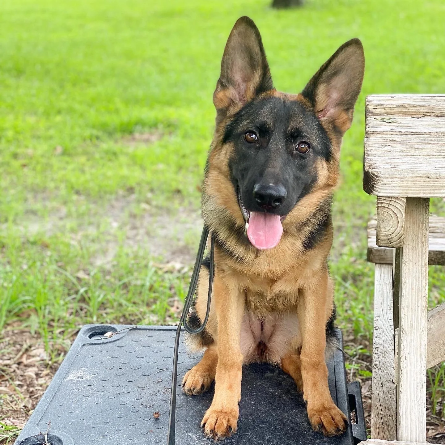 39517500-3836-408B-BBFE-473AFE73C8C7