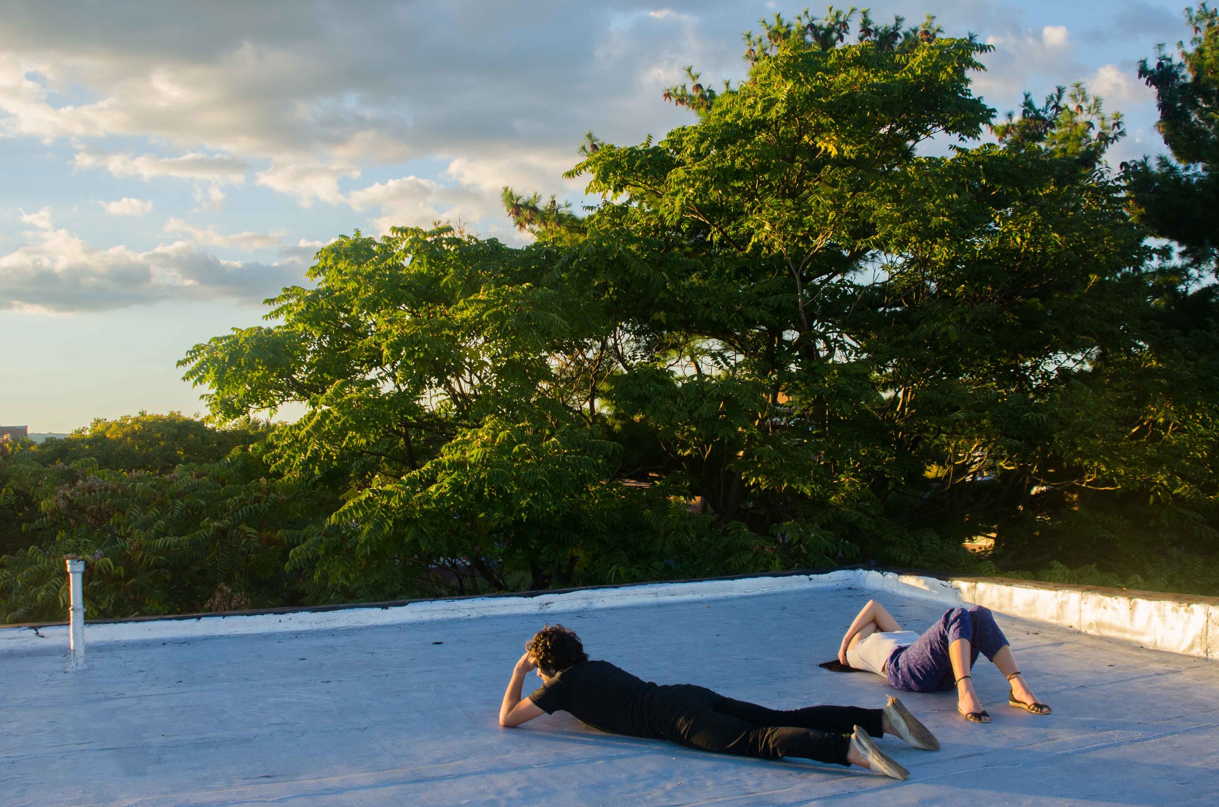 keeping watch on roof.jpg