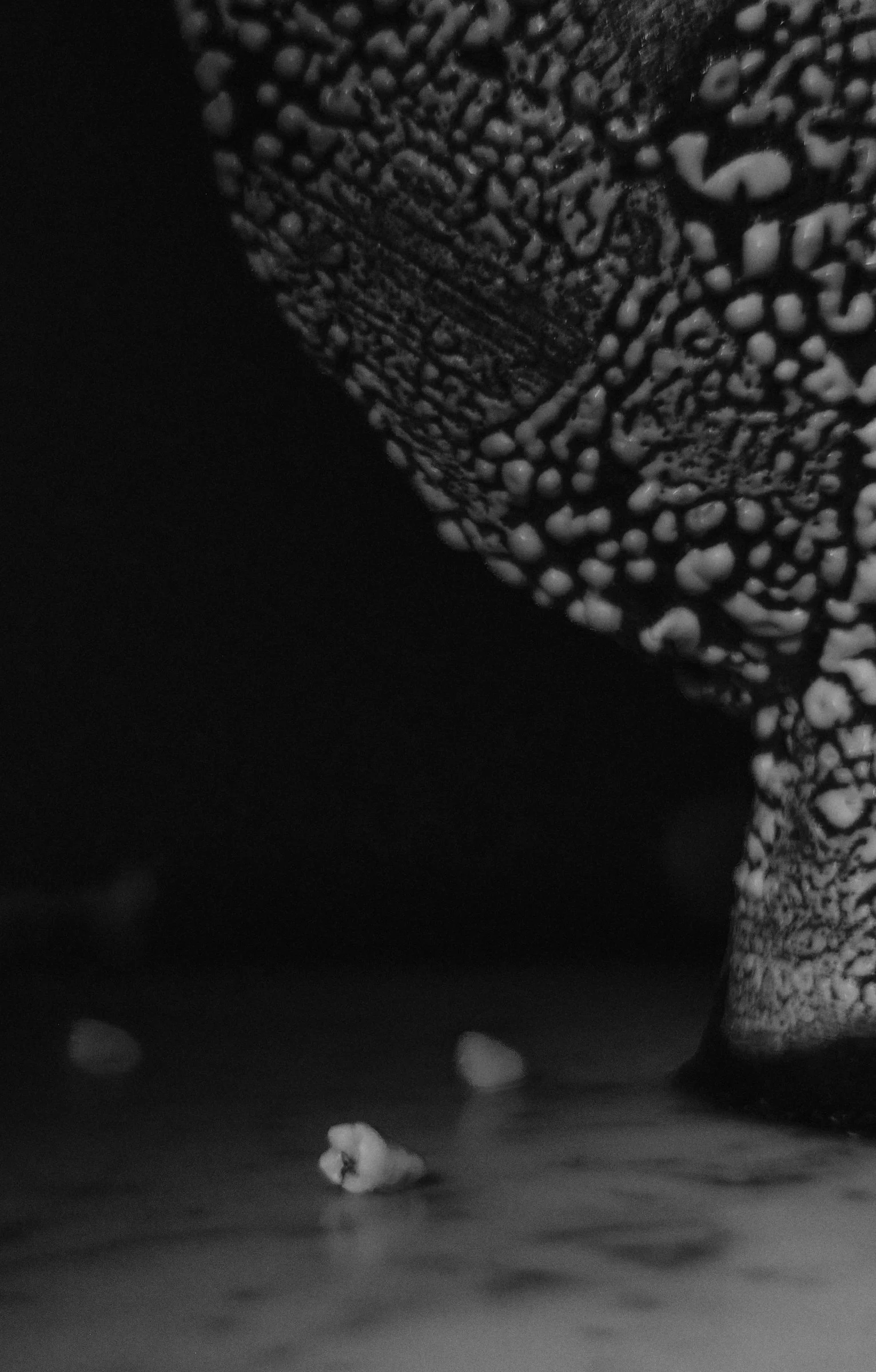 TwinVases_Details_901.jpg