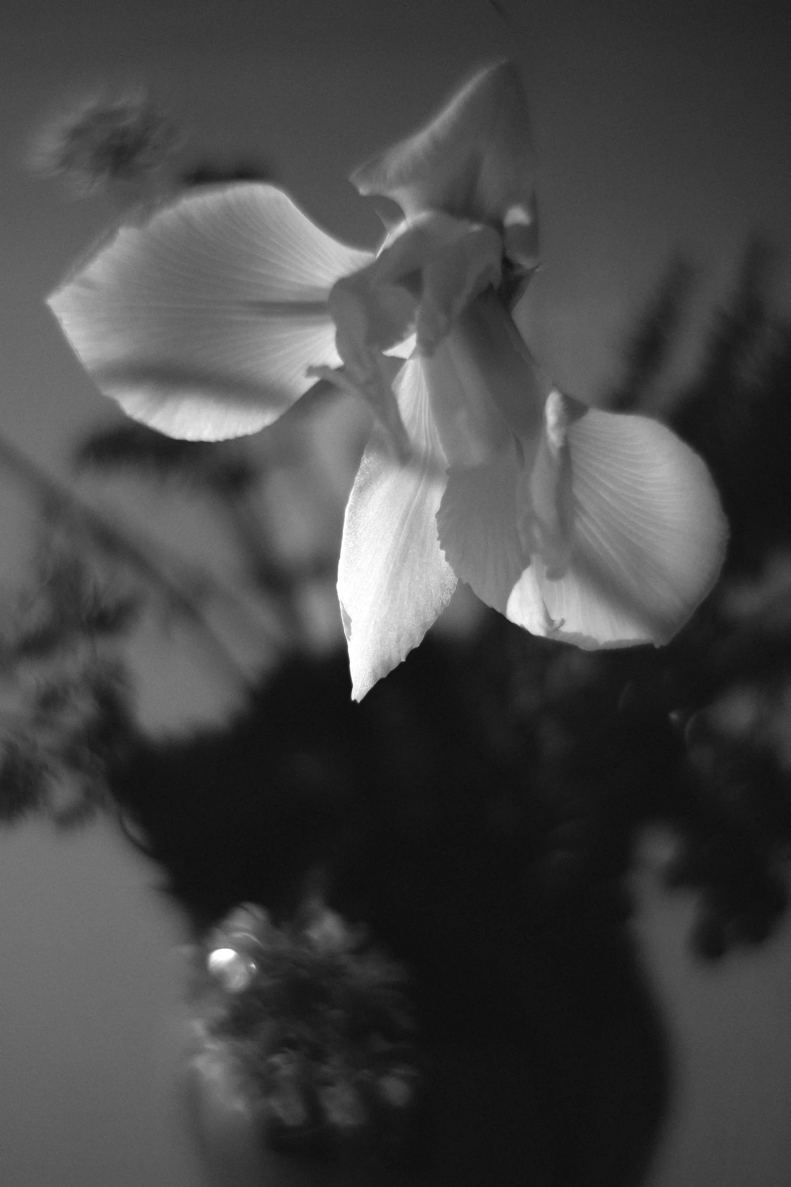 FloralVase_Details_953.jpg