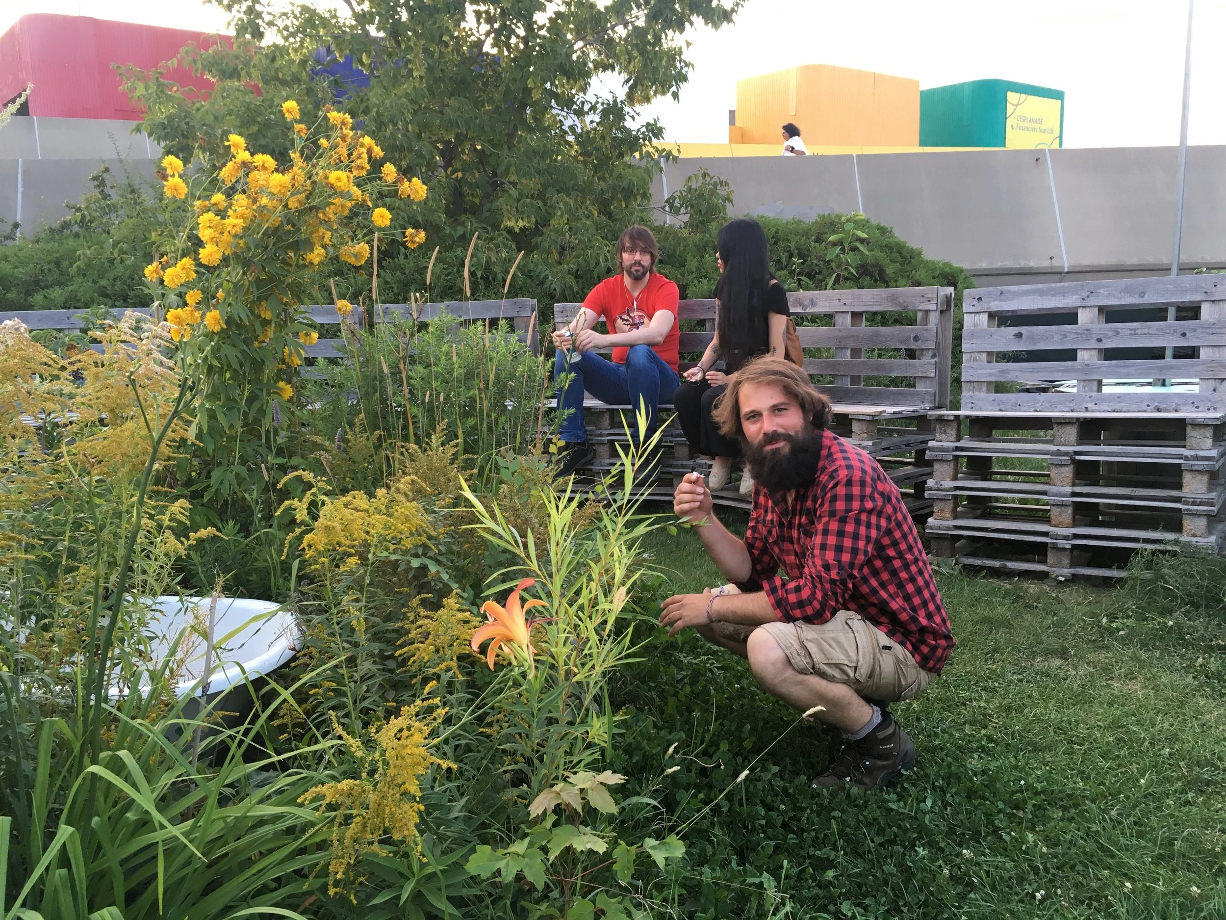 Paroles collectives / Bastien : les semences pour monnaie d'échange