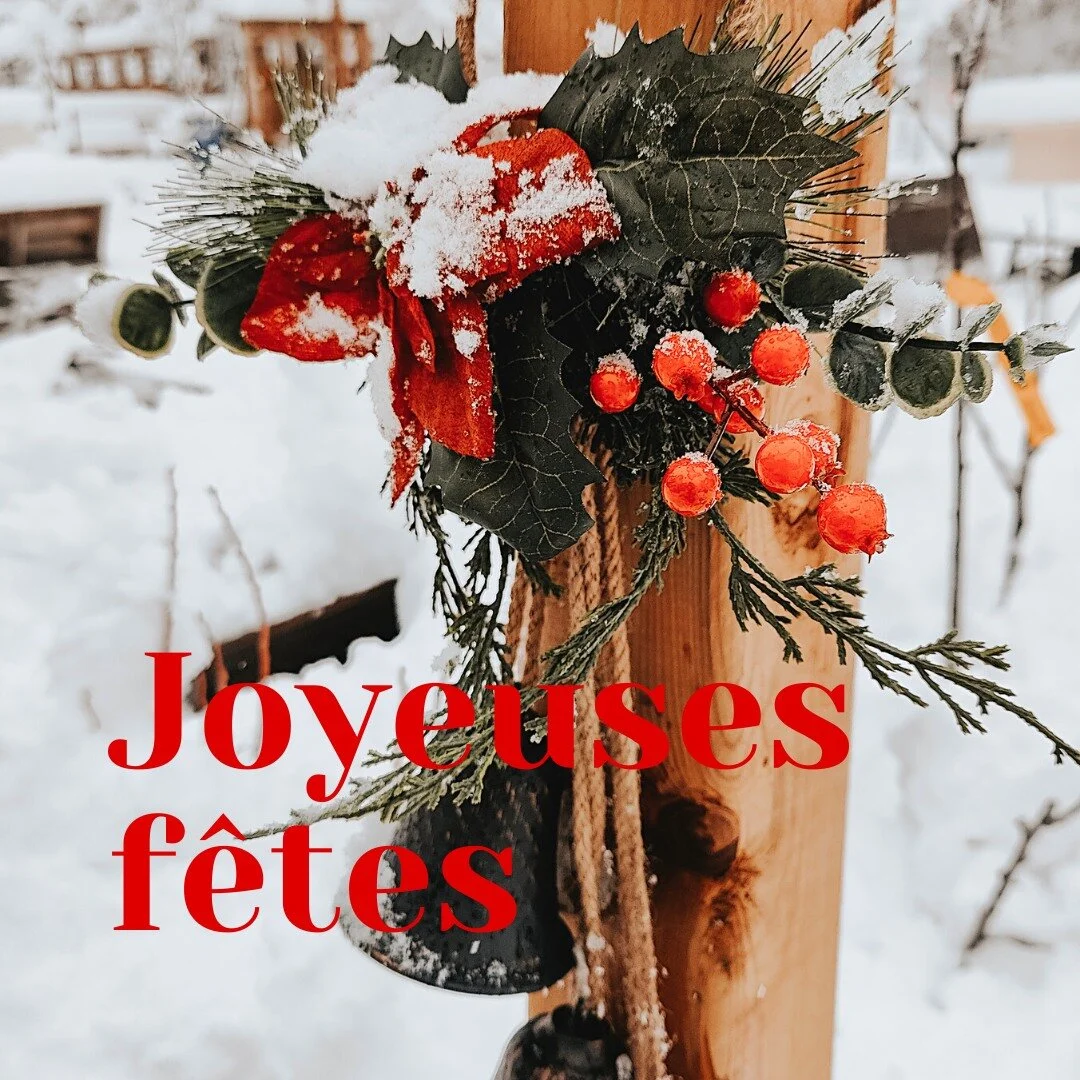 Le jardin sera ferm&eacute; durant cette fin d'ann&eacute;e, on se retrouve le samedi 14 janvier 2023 avec plein de surprises ! ❄ Toute l'&eacute;quipe de la P&eacute;pini&egrave;re vous souhaite de joyeuses f&ecirc;tes ! ✨