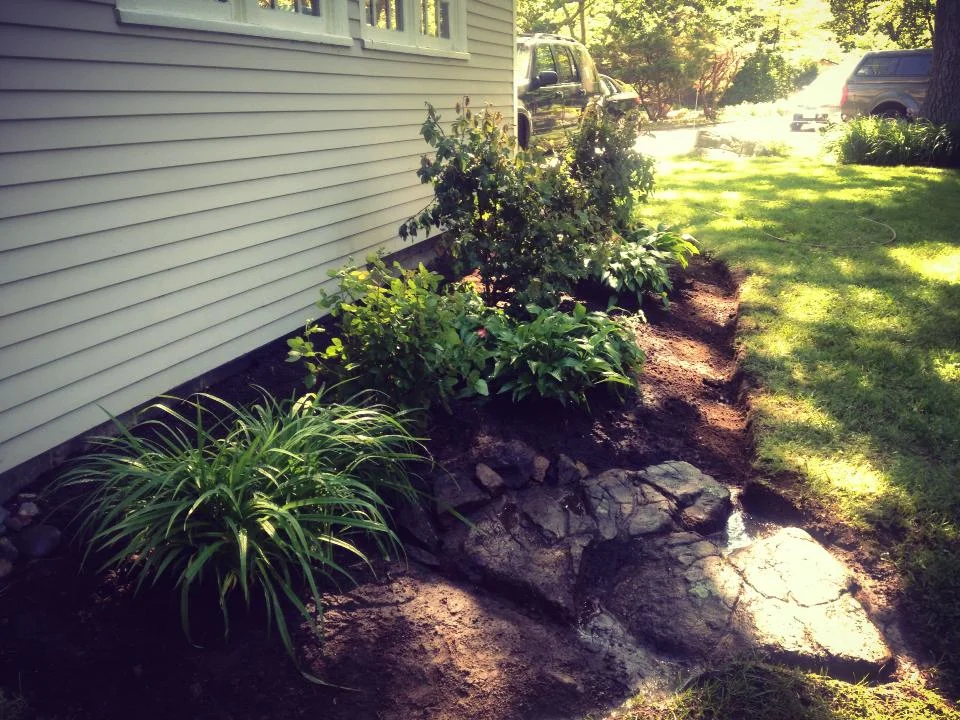 Foundation planting and bed redesign. Scituate, MA