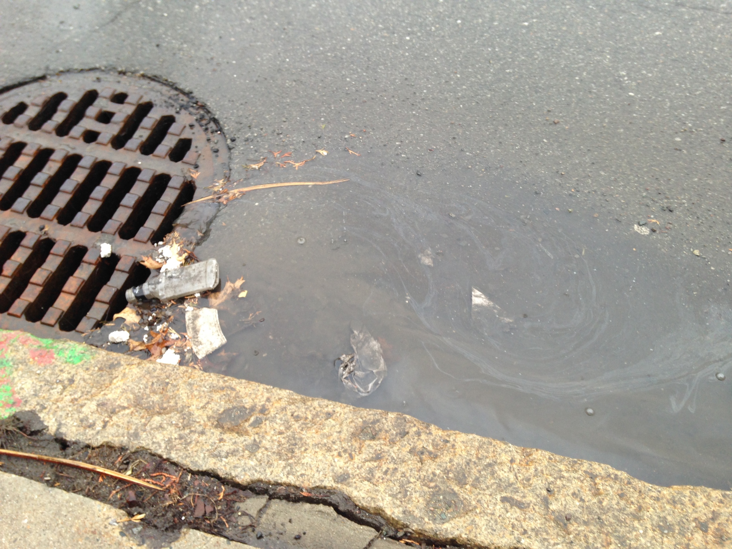 Stormwater in Somerville entering a storm drain. Notice the visible oil sheen on the surface.
