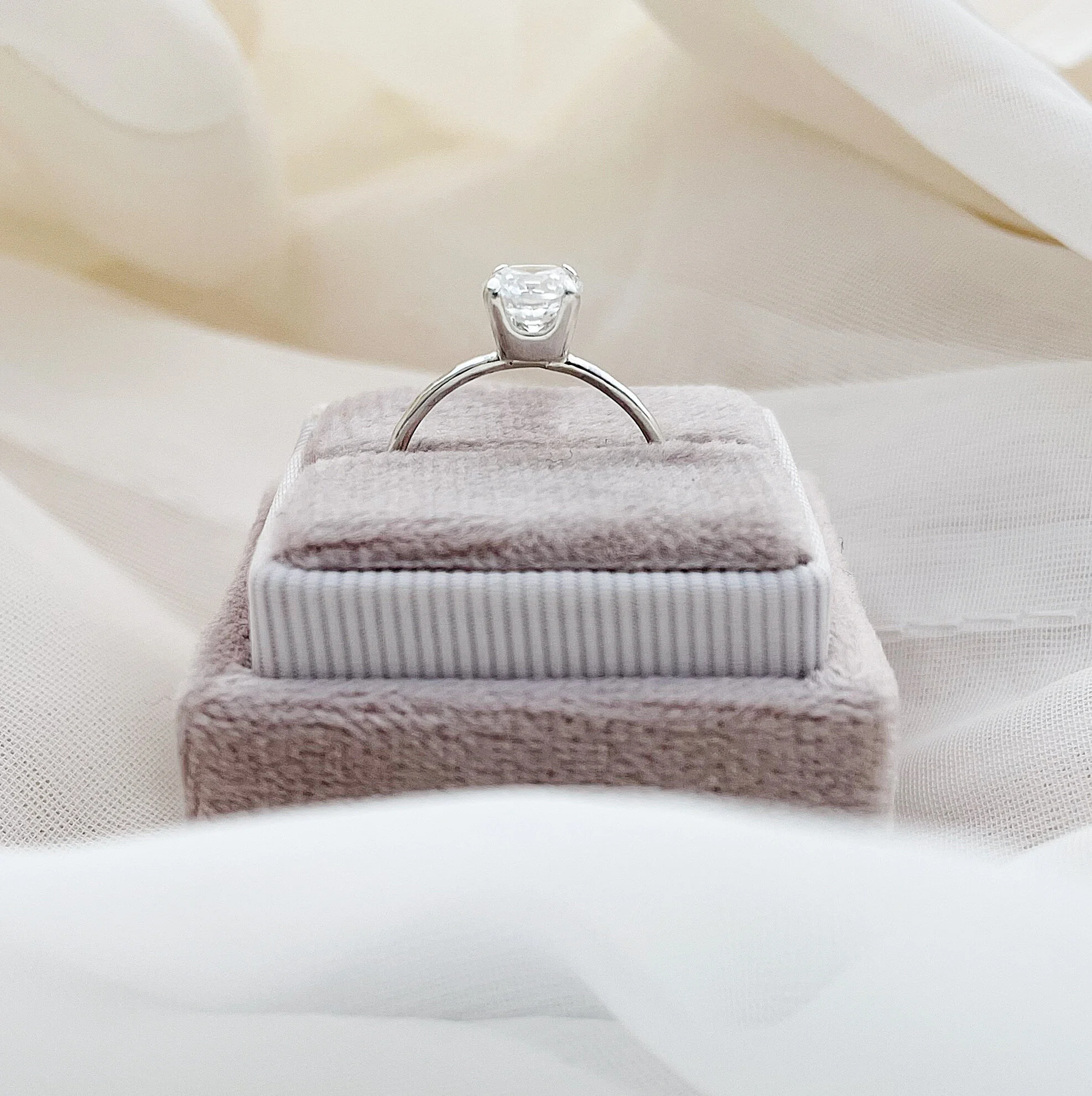 8B685F6D-1C05-4A41-AAE4-603DD9747196