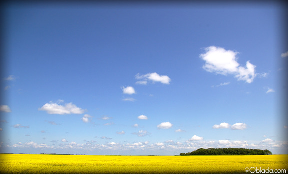 Walking on Sunshine