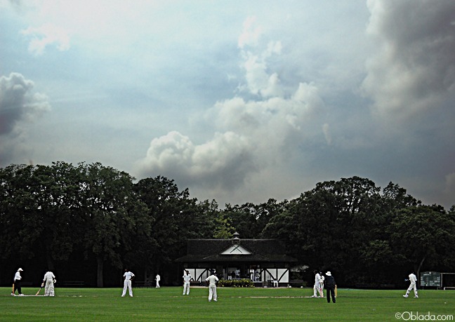 Cricket