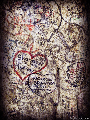 Leave Your Mark