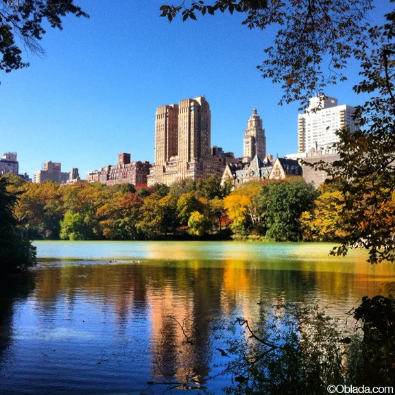 Central Park