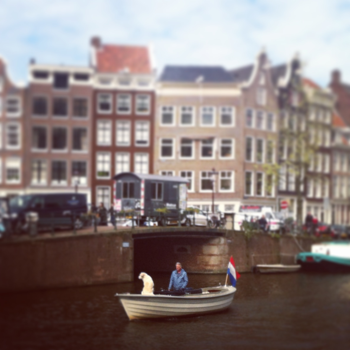 Dog on a Boat