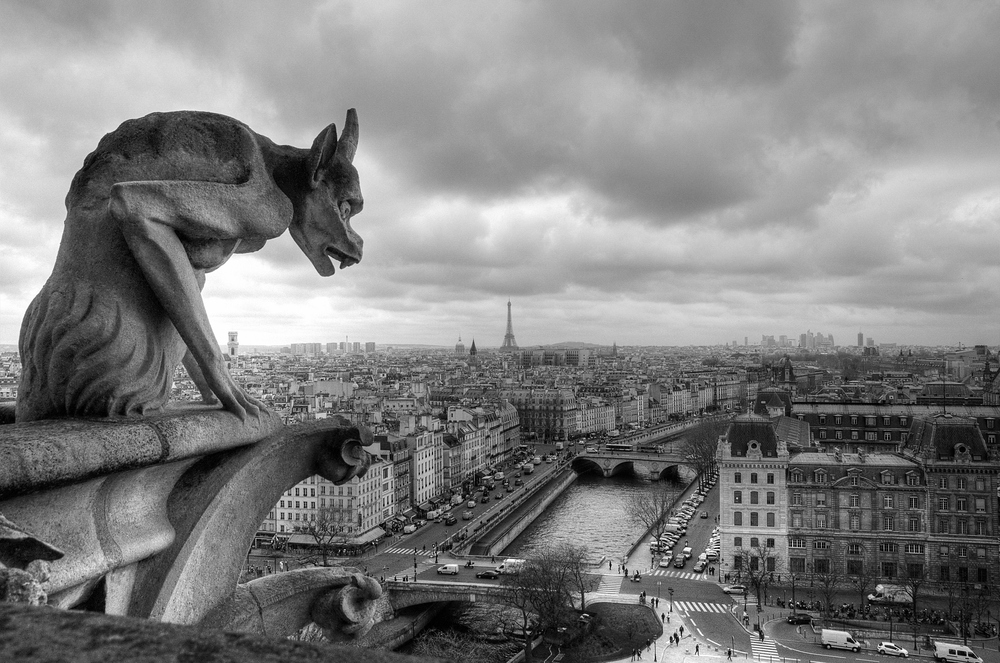 Chimére de Notre-Dame de Paris by Alan Tigoulet