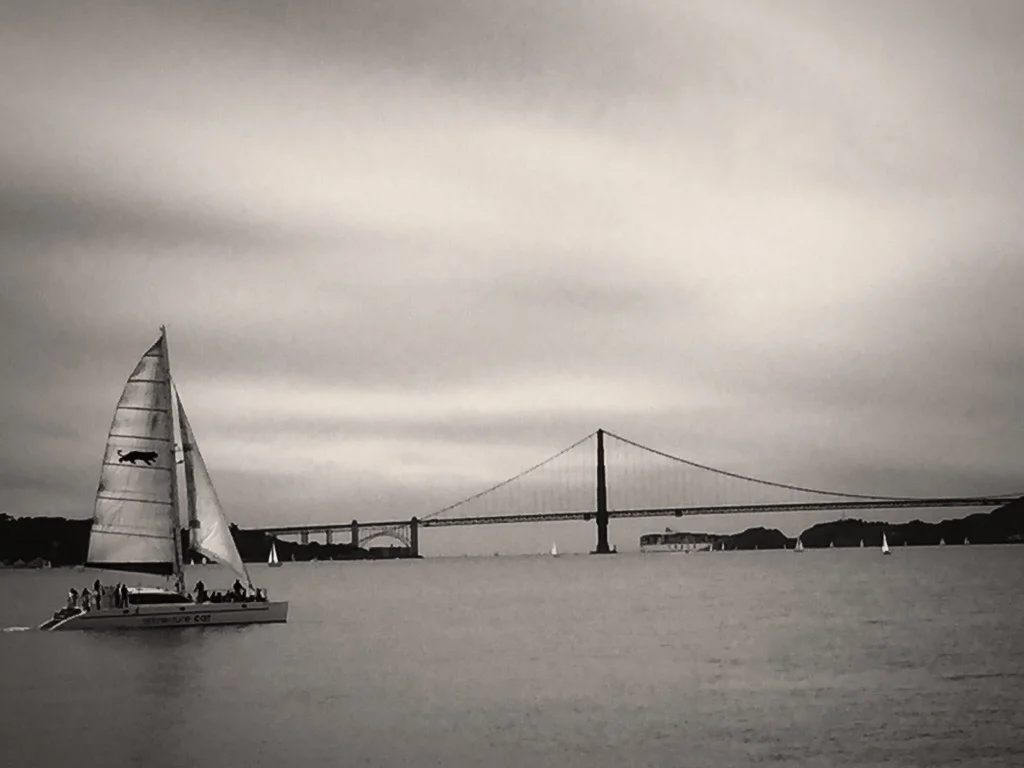 The Bay
