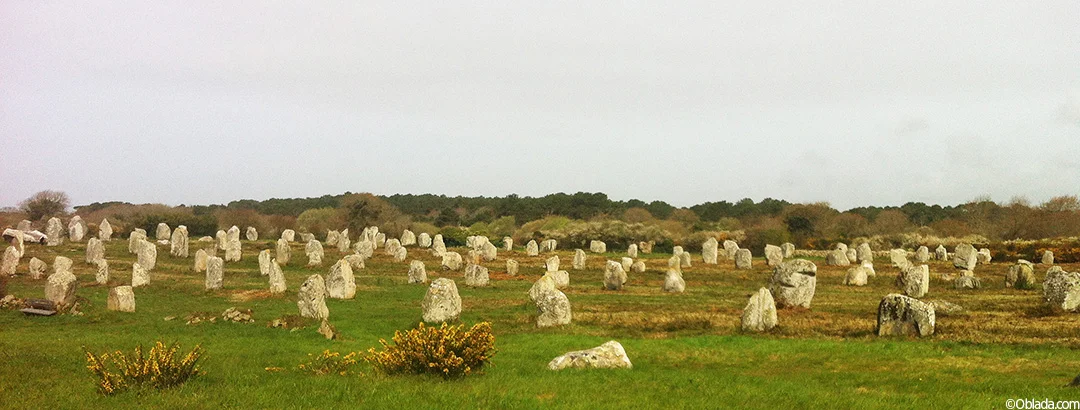 Carnac Stones