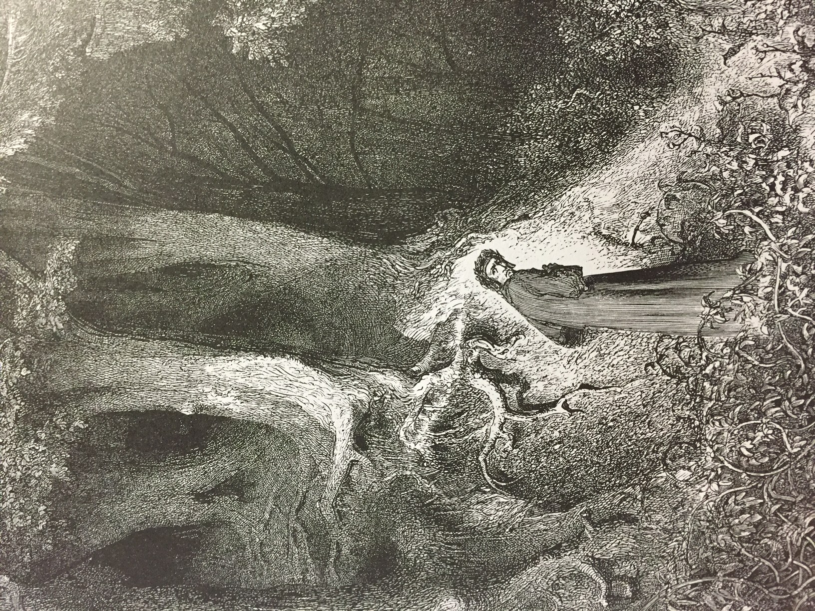 The Forest (Gustave Doré) from The Divine Comedy
