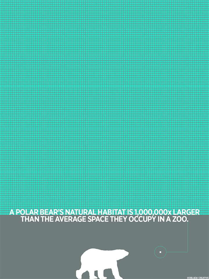 POLAR BEAR HABITAT