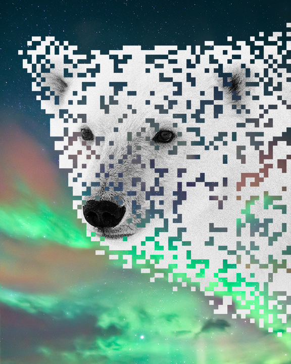 True North no.1