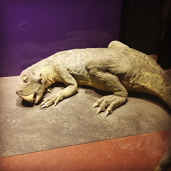 My favourite animatronic dinosaur at the Natural History Museum (©Deborah Clague)