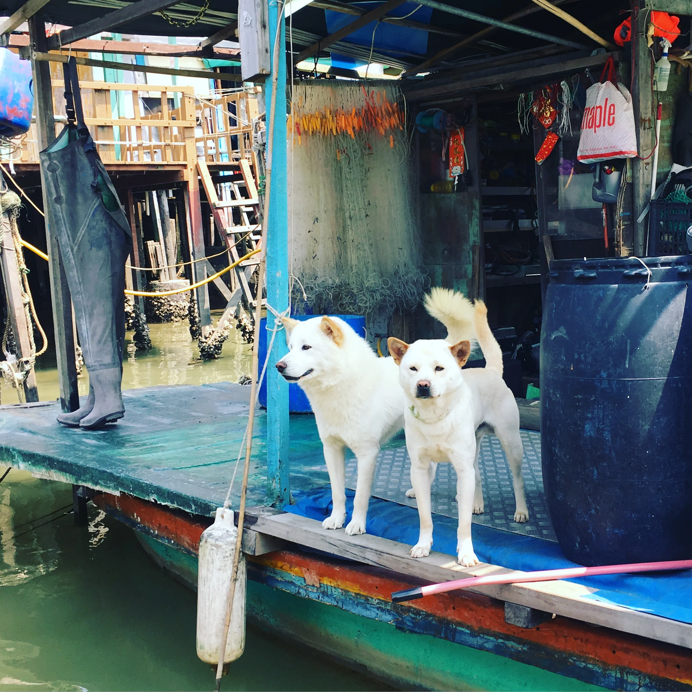 Tai O Fishing Village
