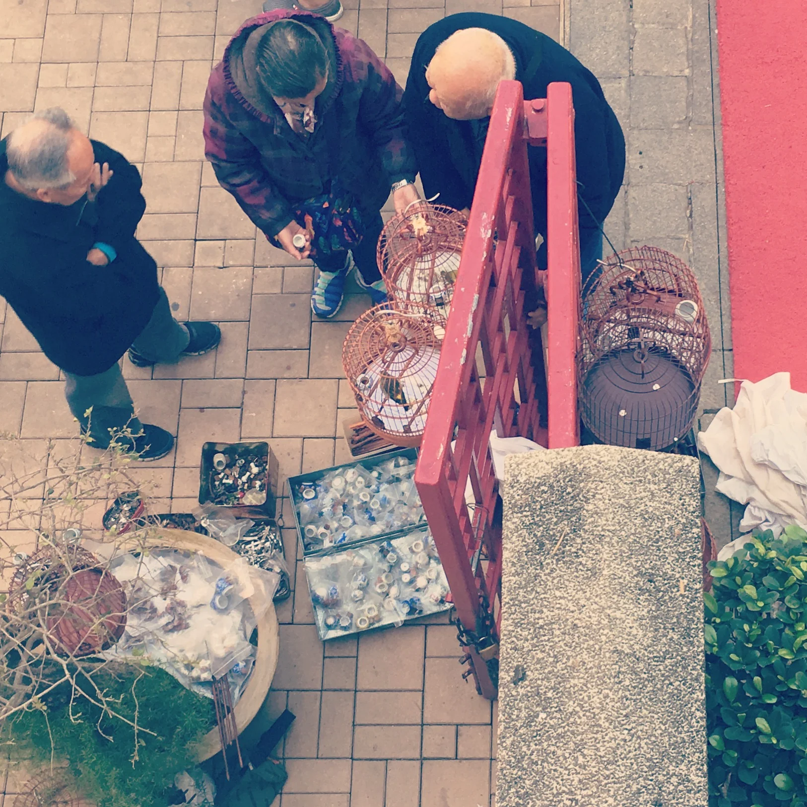 Hong Kong Bird Market