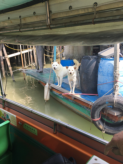 Good boys no.3 and no.4, Tai O Fishing Village, China (©Deborah Clague, 2018). 