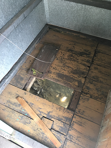 Toilet in house in Tai O Fishing Village. I'm glad I didn't have to go because I don't know how to swim if I fell in (©Deborah Clague, 2018).