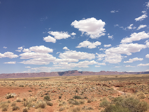 Highway 89A, Arizona (©Deborah Clague, 2018). 
