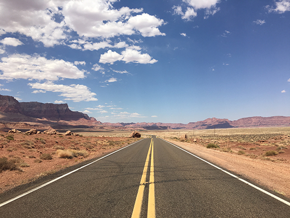 Highway 89A, Arizona (©Deborah Clague, 2018). 