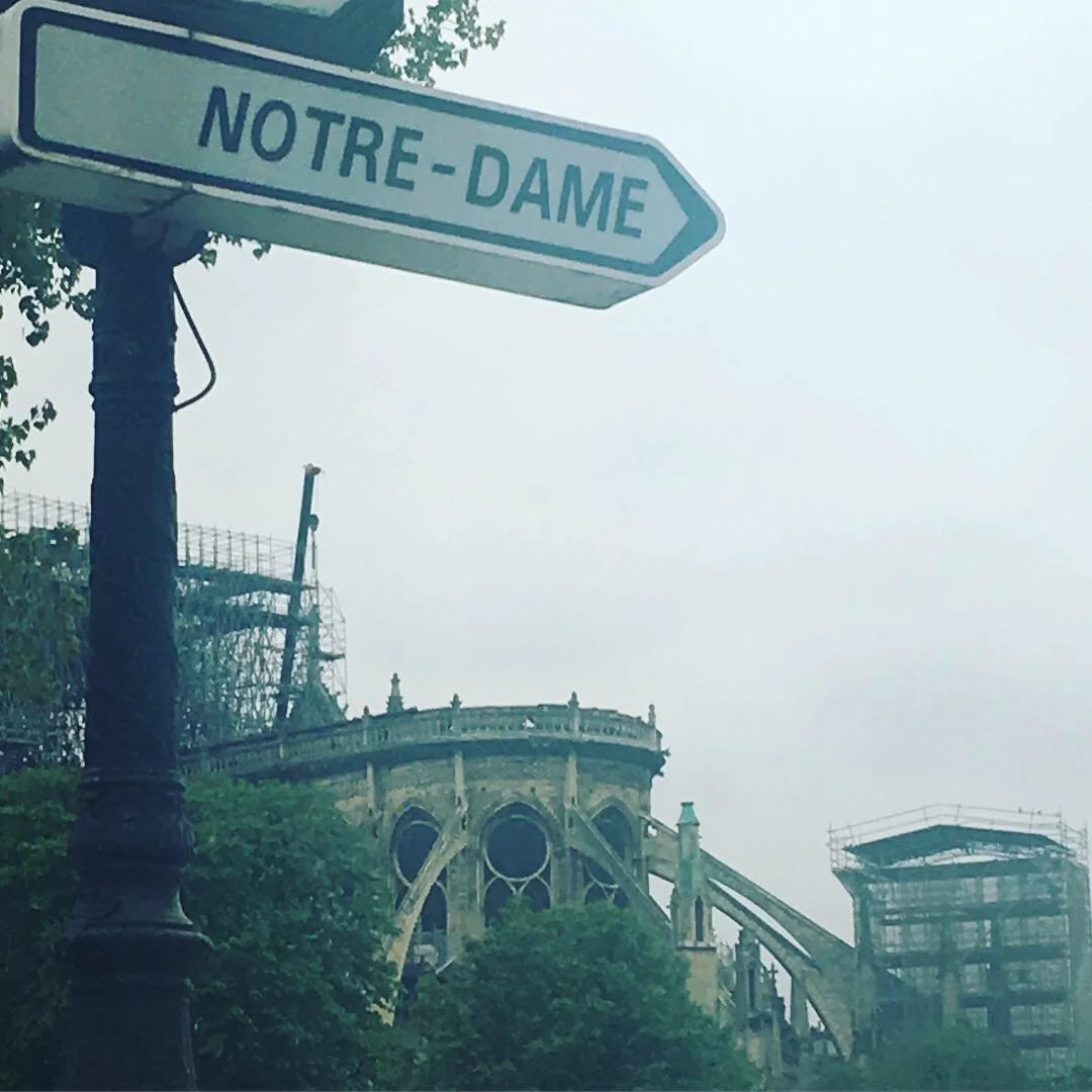 Notre Dame, The Day After