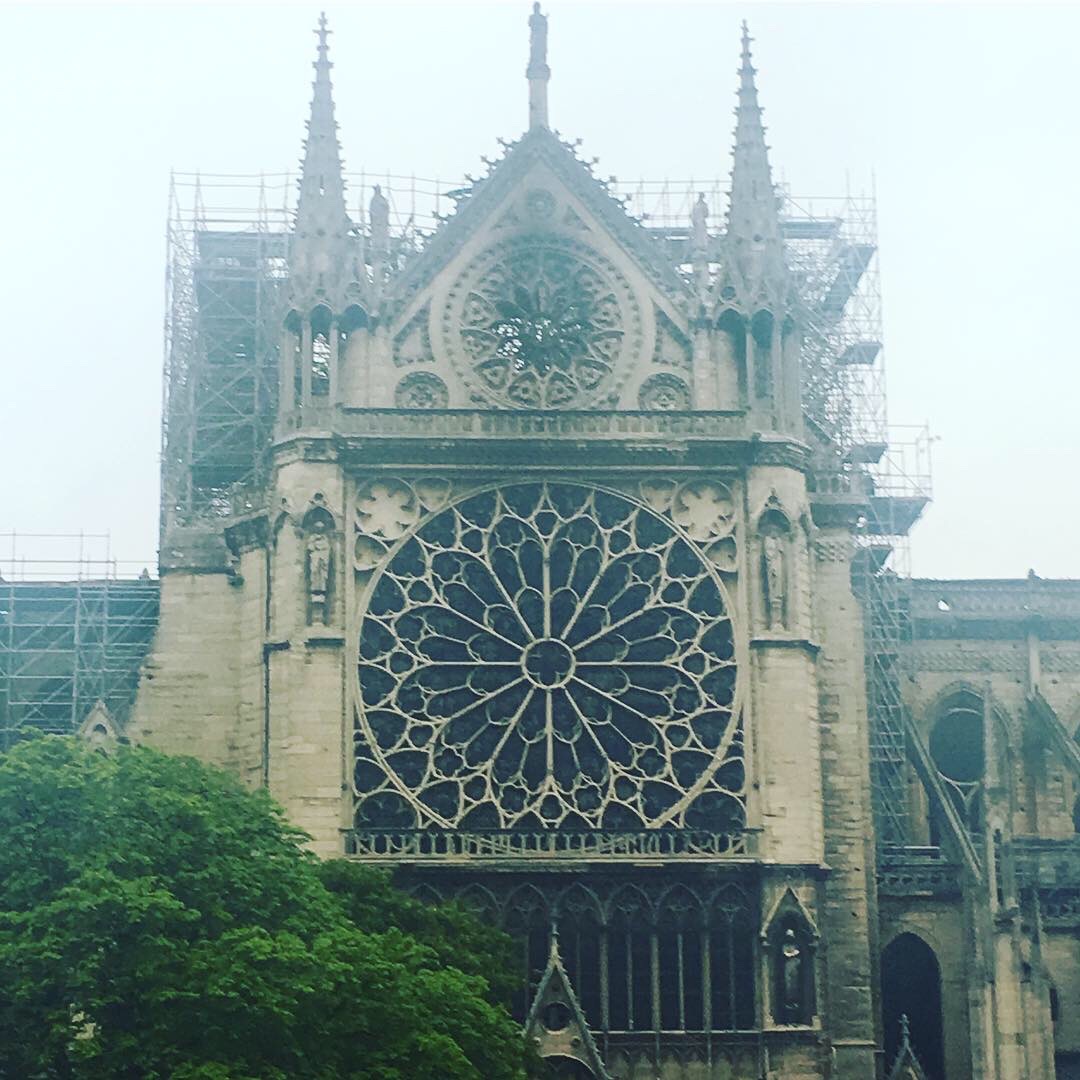 Notre Dame, The Day After