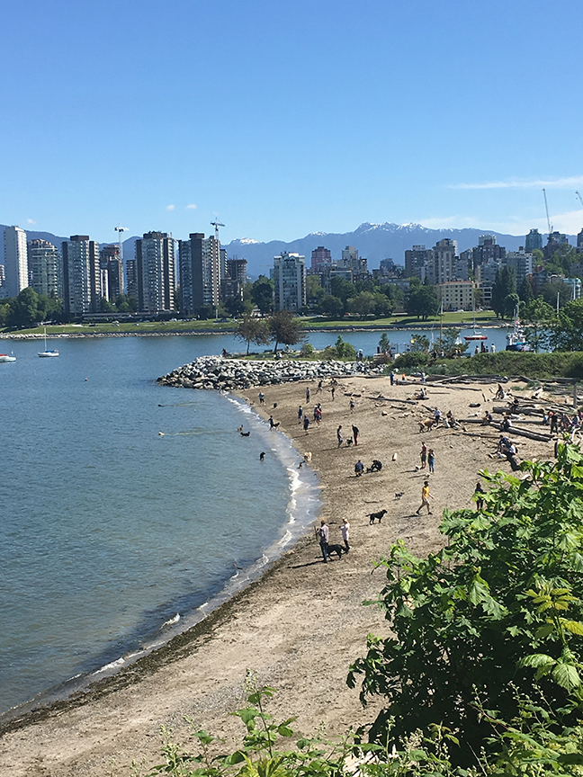 The DOG BEACH, Vancouver (©Deborah Clague, 2019).