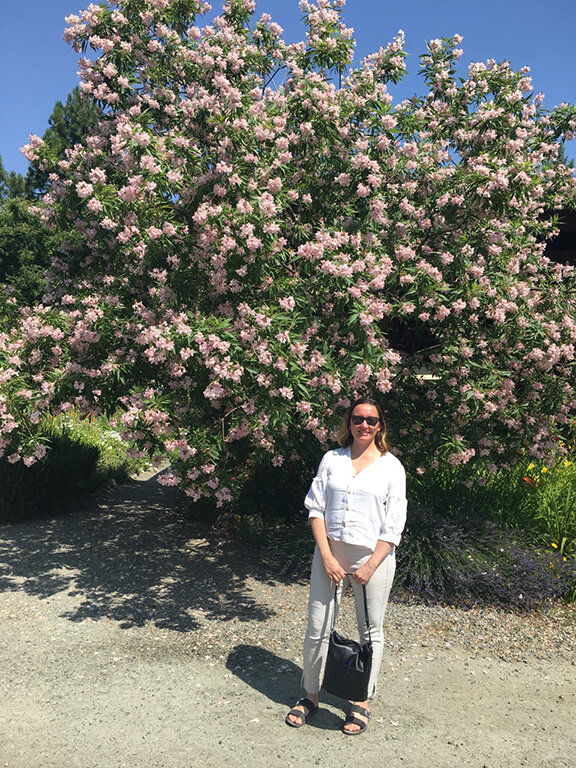 Applegate Valley Winery, Grant’s Pass, Oregon (©Deborah Clague, 2019).