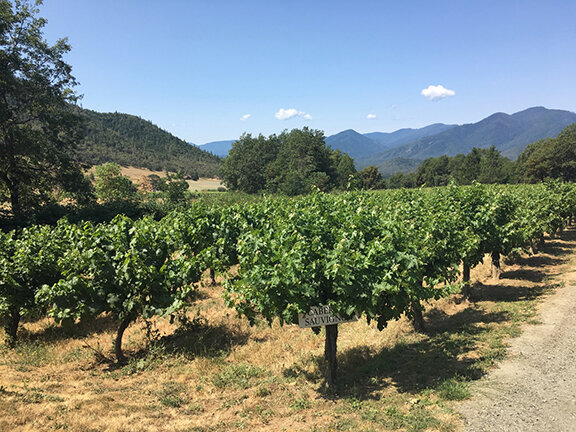 Applegate Valley Winery, Grant’s Pass, Oregon (©Deborah Clague, 2019).